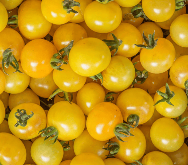 Napa Chardonnay Blush Tomato