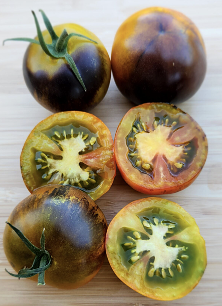 Olive Copper Tomato