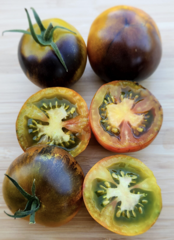 Olive Copper Tomato
