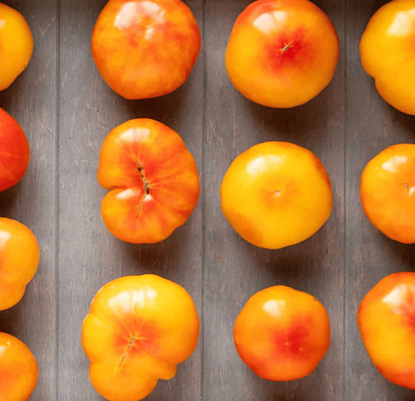 Oaxacan Jewel Tomato