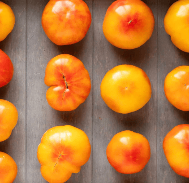 Oaxacan Jewel Tomato