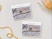 CB Photography American Tree Sparrow On Winter Branch