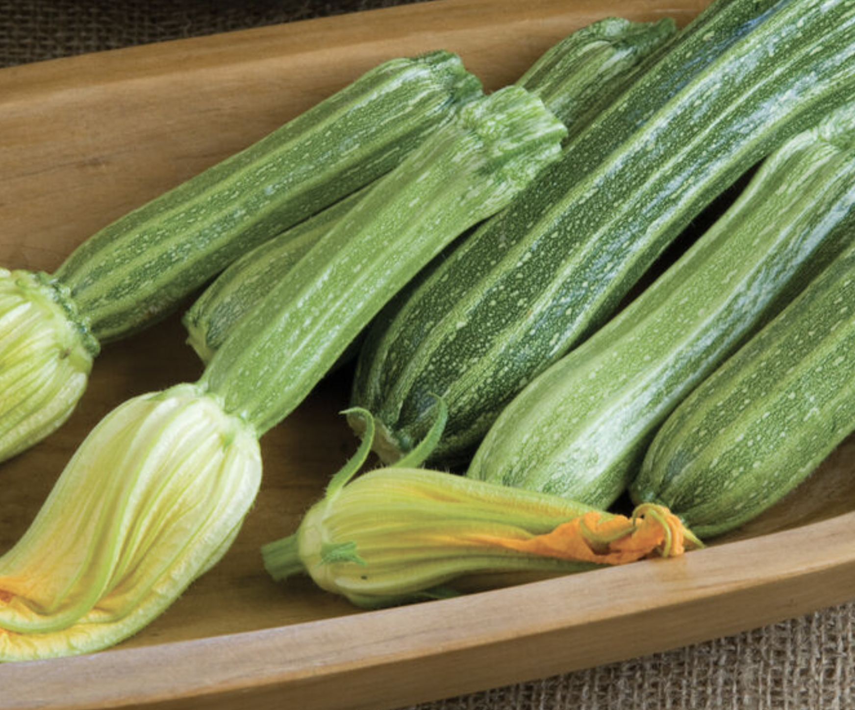Costata Romanesco Zucchini