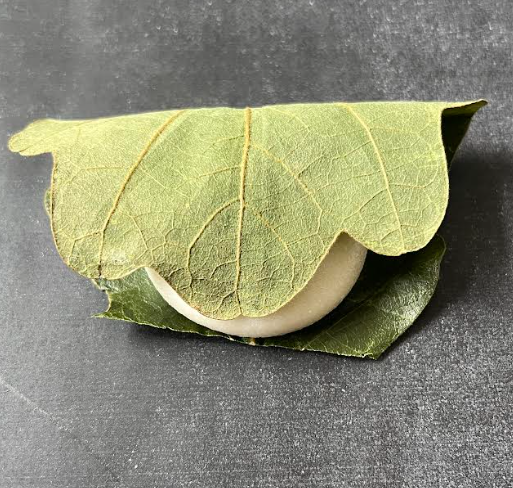 Sakuraya Kashiwa Mochi (3pcs)_20/3pcs