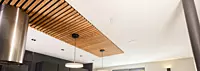 Blam Inceiling 6.5 Inch Speaker Single