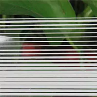 Glass Film