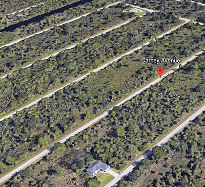 14212 and 14220 Carney Ave - Affordable .46 Acre Vacant 2 Lots in Port Charlotte