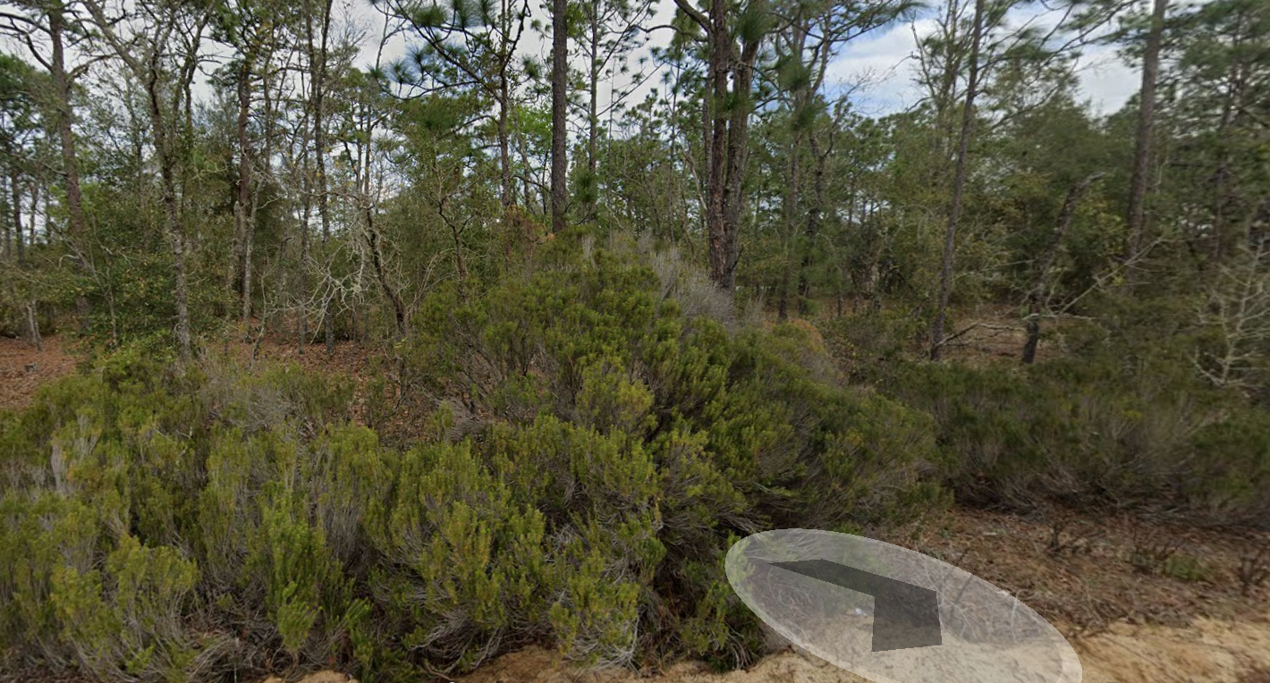 368 SE 10th Street - Affordable .45 Acre Lot in Interlachen