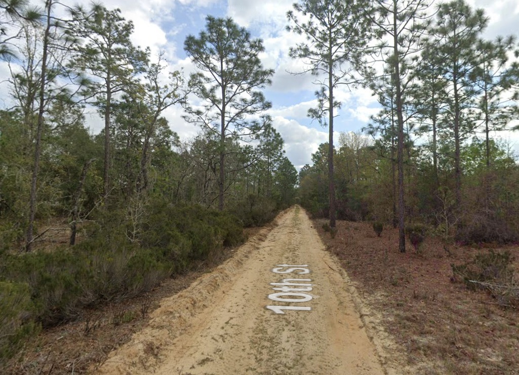 368 SE 10th Street - Affordable .45 Acre Lot in Interlachen