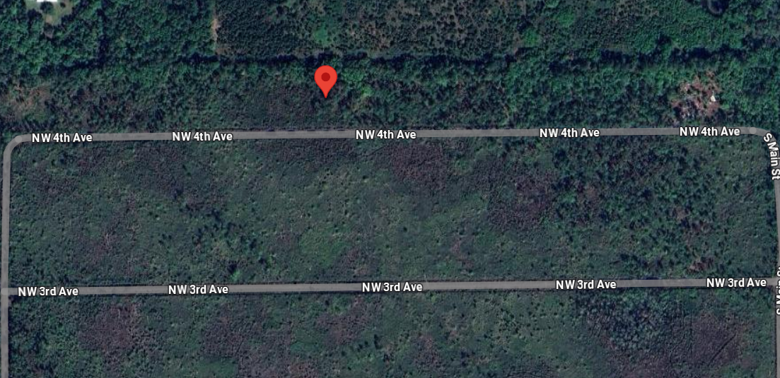 138 NW 4th Ave - Affordable 1.25 Acre Lot in Palatka