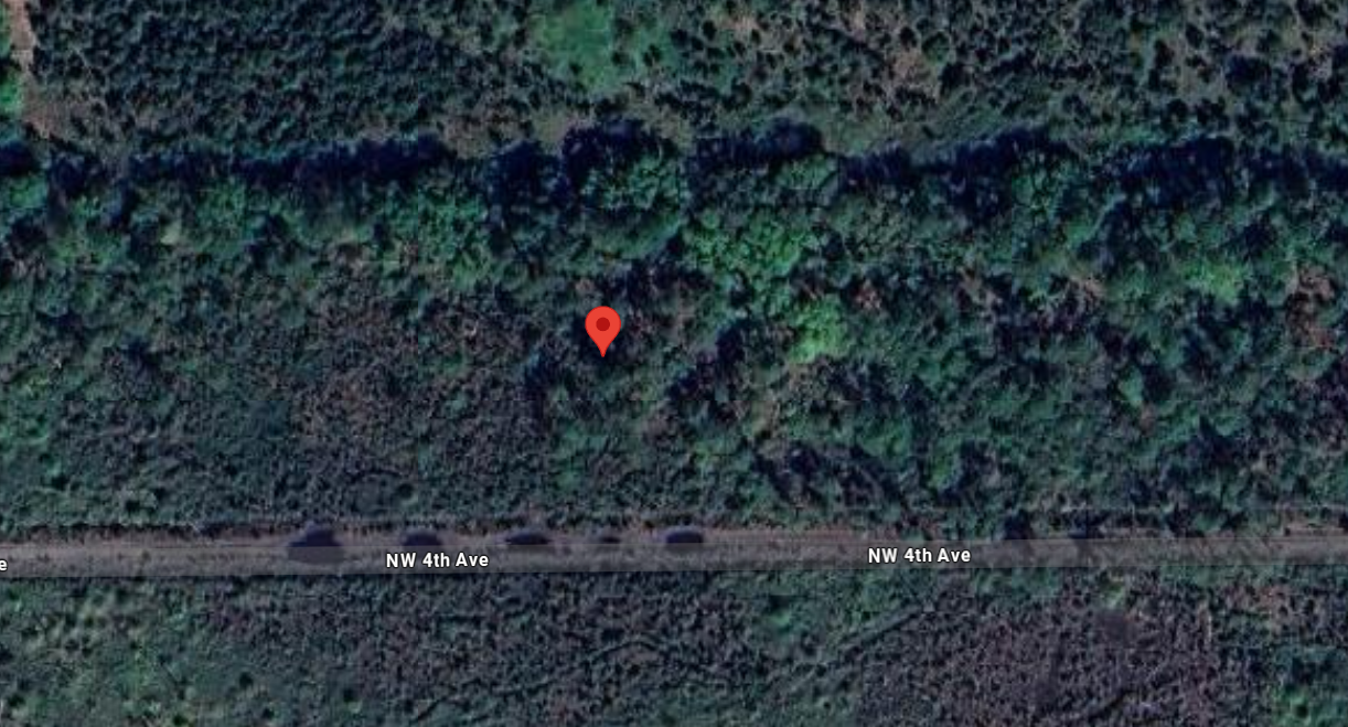 138 NW 4th Ave - Affordable 1.25 Acre Lot in Palatka