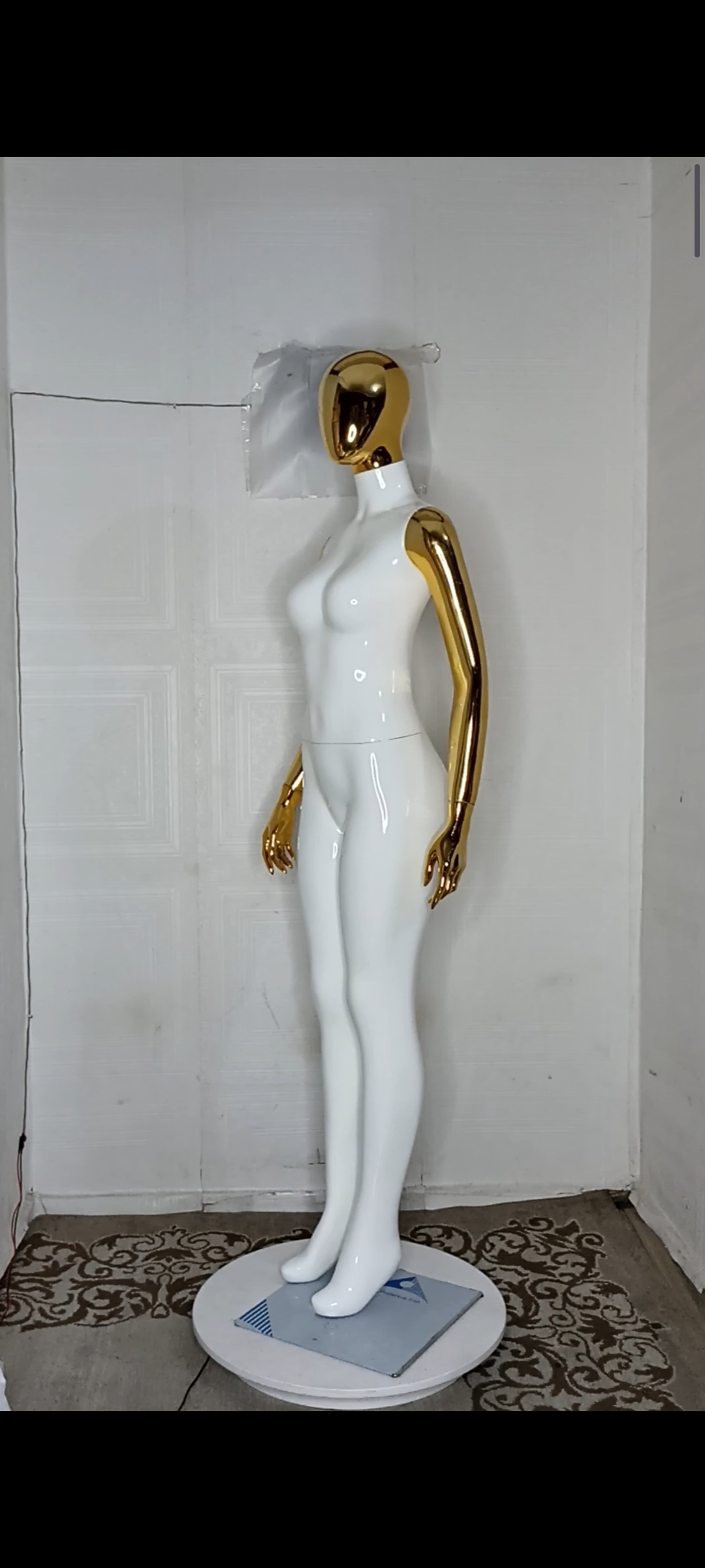 Female Mannequin-2 tones Colour-Full Fibreglass Size 10
