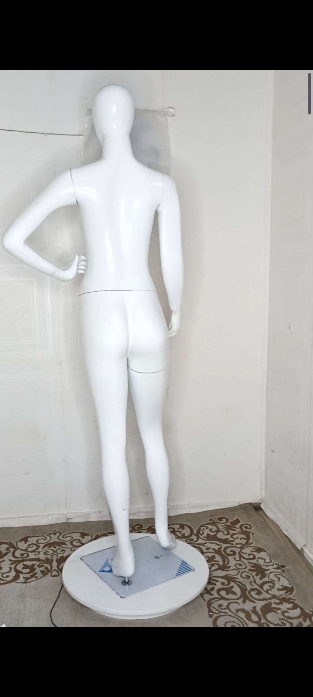 Female Mannequin-Full Plain Glossy Colour-Full Fibreglass Size 12 with Posture