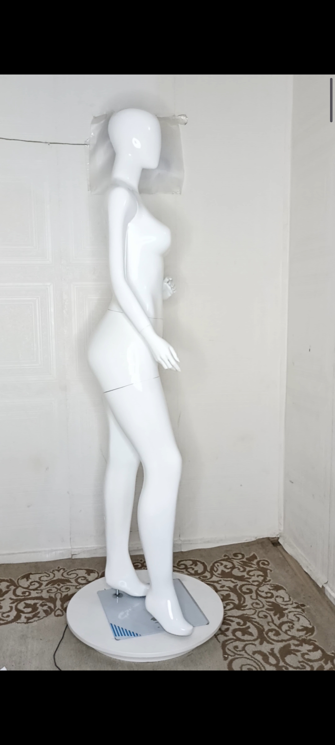 Female Mannequin-Full Plain Glossy Colour-Full Fibreglass Size 12 with Posture