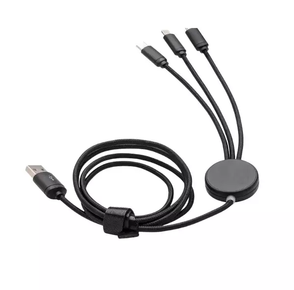 Ion Charging Cable
