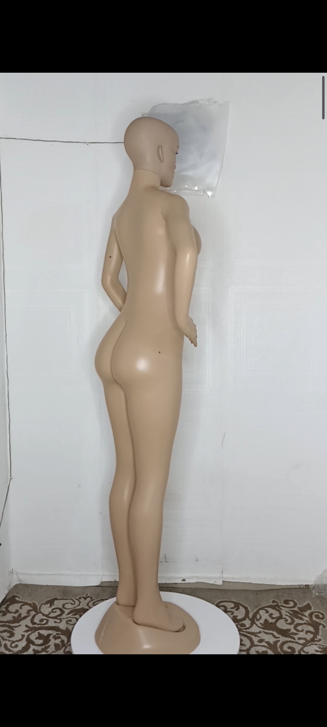 Adanne Size 10 Bald Head FRP Unbreakable Plastic Non- Detachable Foreign Female Mannequin