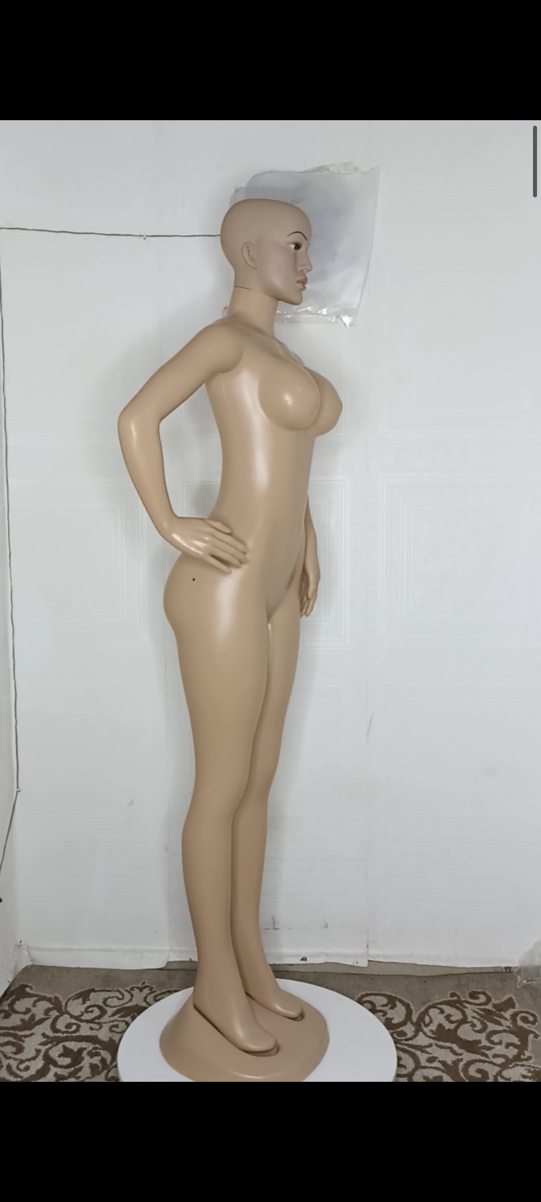 Adanne Size 10 Bald Head FRP Unbreakable Plastic Non- Detachable Foreign Female Mannequin