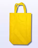 Vanguard Non-Woven Shopper