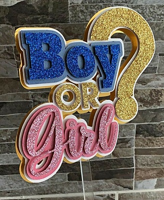 Gender Reveal Cake Topper Set – Boy or Girl