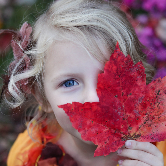 (Renouvellement) Secourisme milieu scolaire avec allergies sévères 6 heures - Blainville