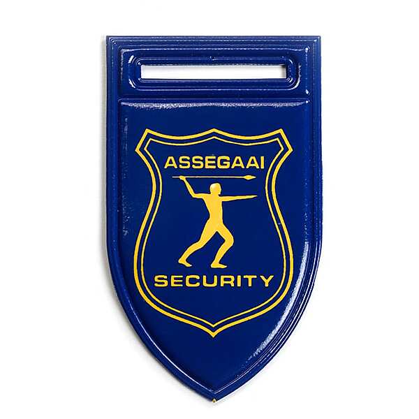 Personalized PVC Flashes