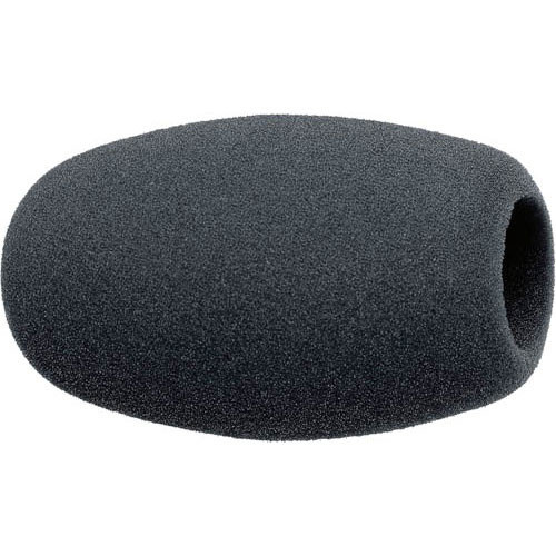 Sennheiser MZW 1