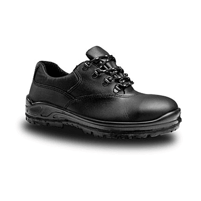 Lemaitre Warrior 4250 STC