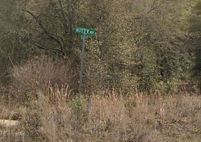 Alan Dr. & Kitty Ave. - Affordable .22 Acre Vacant Lot in Interlachen