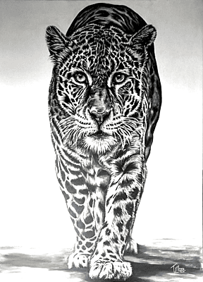 Silent Power by Tiffany Maré