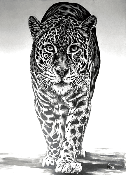 Silent Power by Tiffany Maré