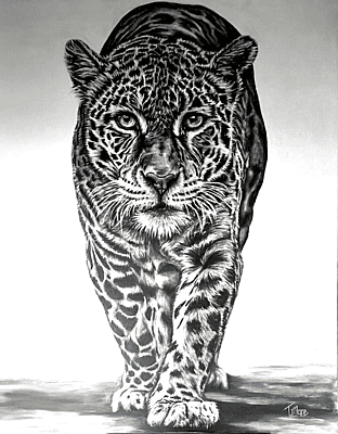 Silent Power by Tiffany Maré