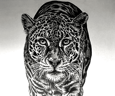 Silent Power by Tiffany Maré - NEW!