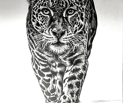 Silent Power by Tiffany Maré - NEW!