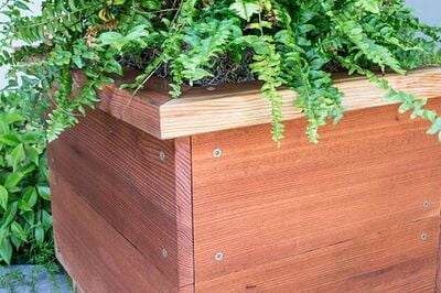 Simpson Strong-Tie Strong-Drive SDWS FRAMING Screw Simpson Strong-Tie Strong-Drive SDWS FRAMING Screw