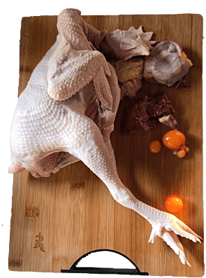 Hard body Chicken 1 pcs