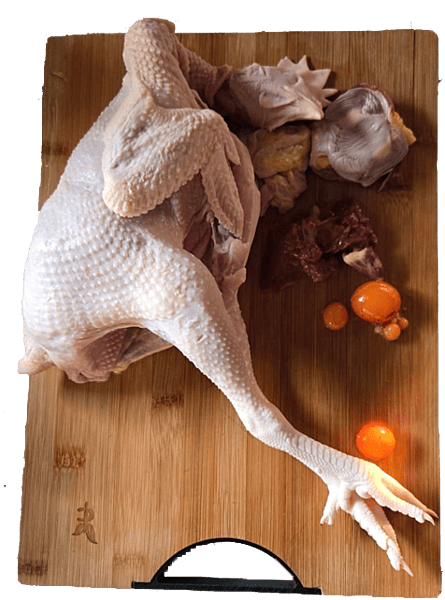 Hard body Chicken 1 pcs