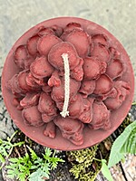 Handmade Skull Mountain Candle- Burgundy, Pomegranate Blackberry Scented