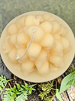 Handmade Skull Mountain Candle- White, Unscented