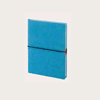 Brown Diary BB23 Brown Diary BB23