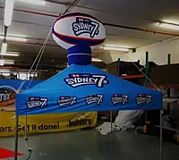 Sky-Zebo