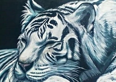 Sleeping White Tiger by Tiffany Maré