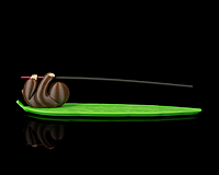 Slow Burn Incense Holder