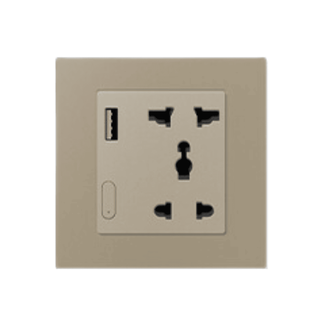 Zigbee Smart Socket With USB- EU - Golden