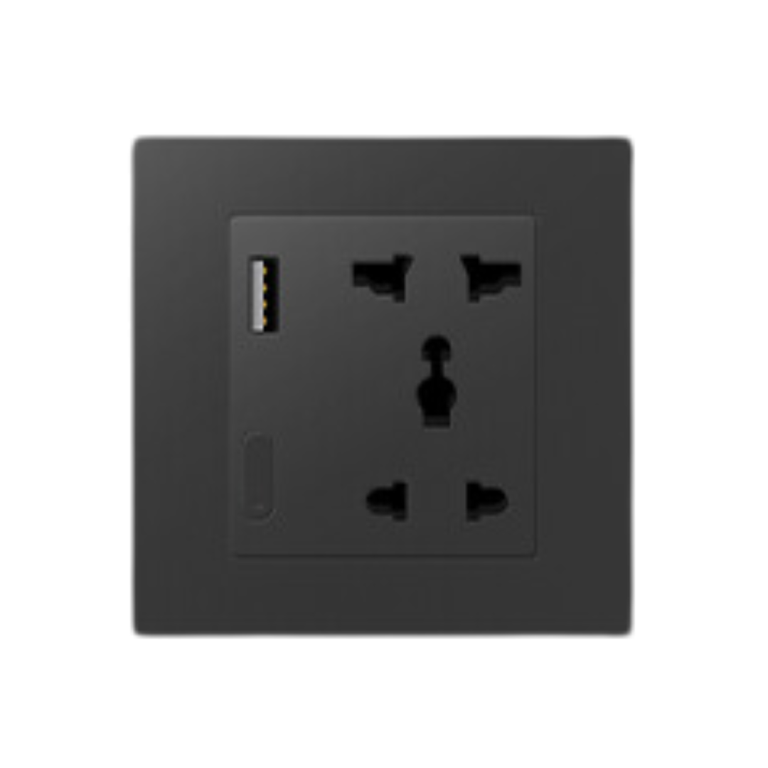 Zigbee Smart Socket With USB- EU - Black