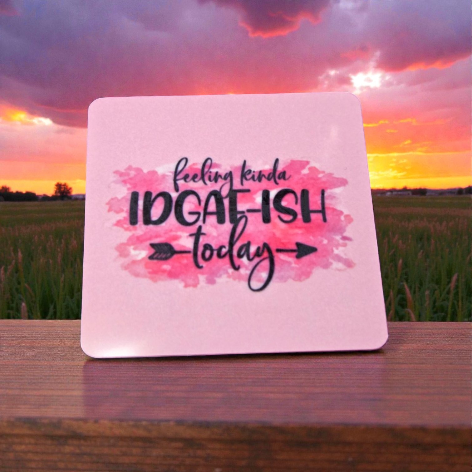 Snarky Magnet- Feeling Kind of IDGAF-ish Today