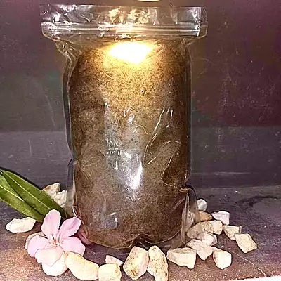 Gingerthon Grow Box Starter Kit Gingerthon Grow Box Starter Kit