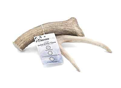 Solid Deer Antler - Large Solid Deer Antler - Large