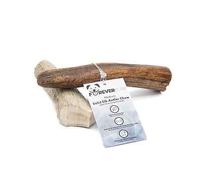 Solid Elk Antler - Medium Solid Elk Antler - Medium