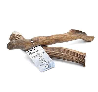 Solid Elk Antler - X-Large