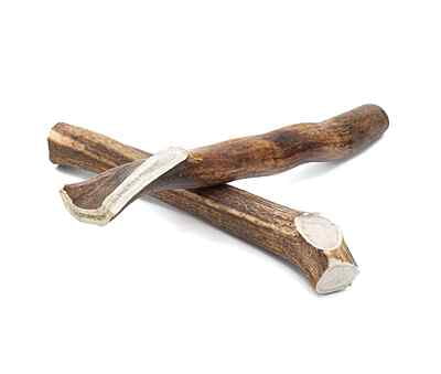 Solid Elk Antler - X-Large